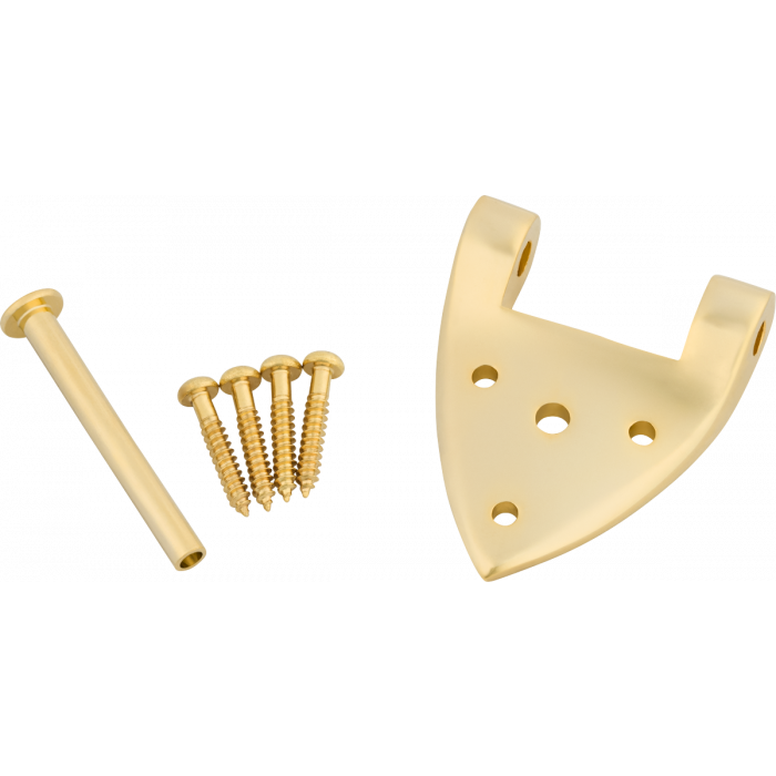 Bigsby B3/6C Gretsch Hinge with Hinge Pin and Screws, Gold