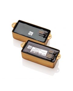 EMG Les Claypool Signature Pachyderm Gold PA Bass Pickup Set - BRUSHED GOLD