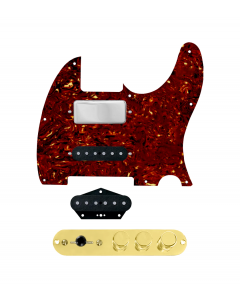 920D Custom Mason Style Loaded Pickguard for Nashville Tele With Tortoise Pickguard and TMAS-G Control Plate