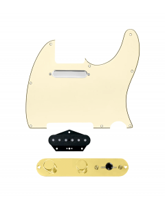 920D Custom Texas Grit Loaded Pickguard for Tele With Aged White Pickguard and T3W-REV-G Control Plate